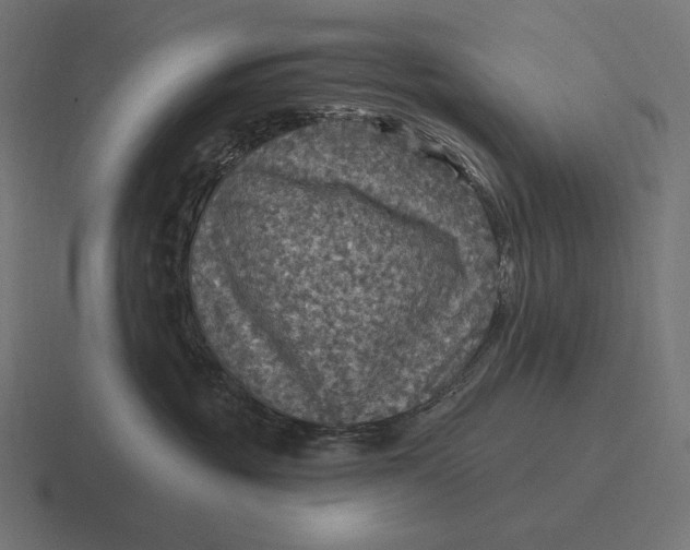 X0000116590381200912291313