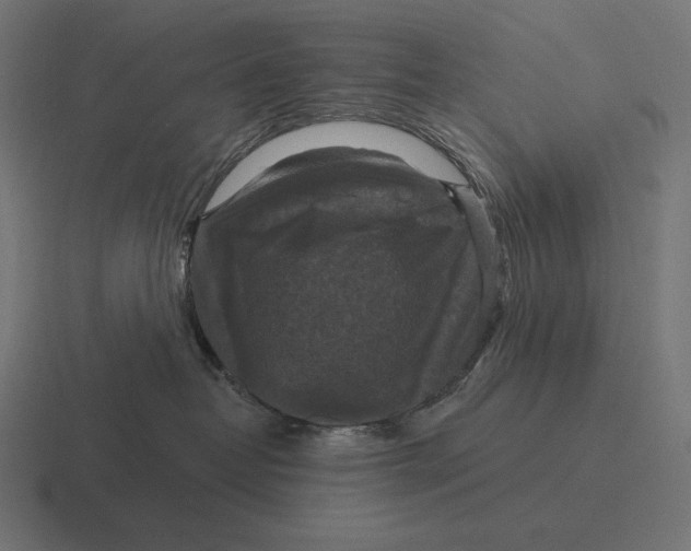 X0000116590382200912291313