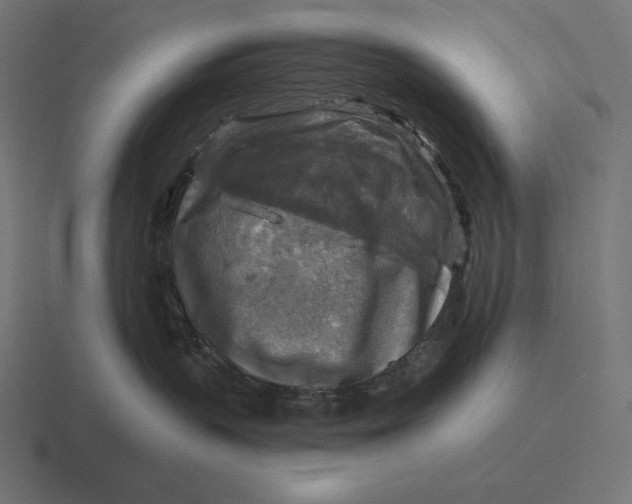 X0000116590383200912291313