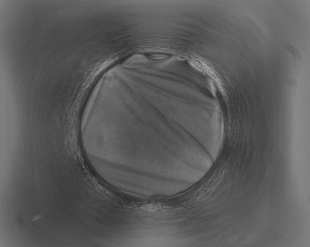 X0000116590385200912291312