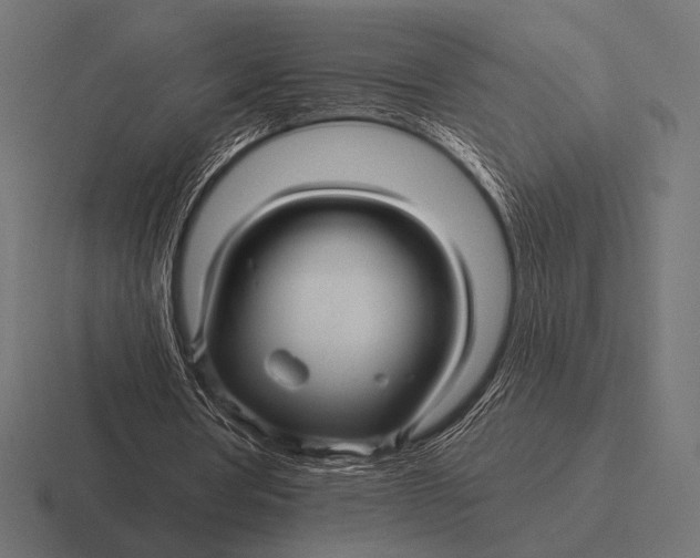 X0000116590386200912291312