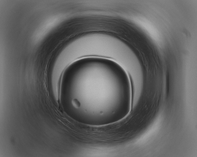 X0000116590387200912291312