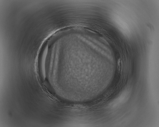 X0000116590388200912291312