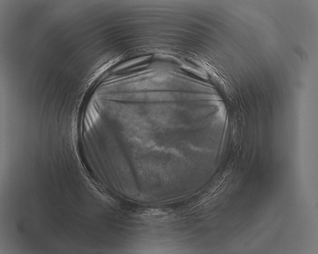 X0000116590390200912291312