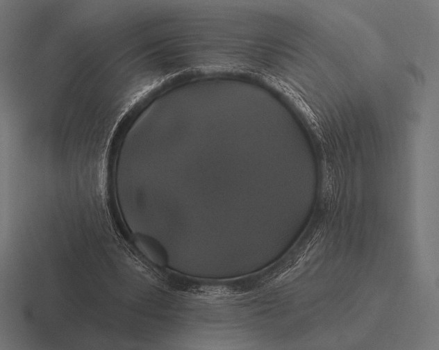 X0000116590391200912291312