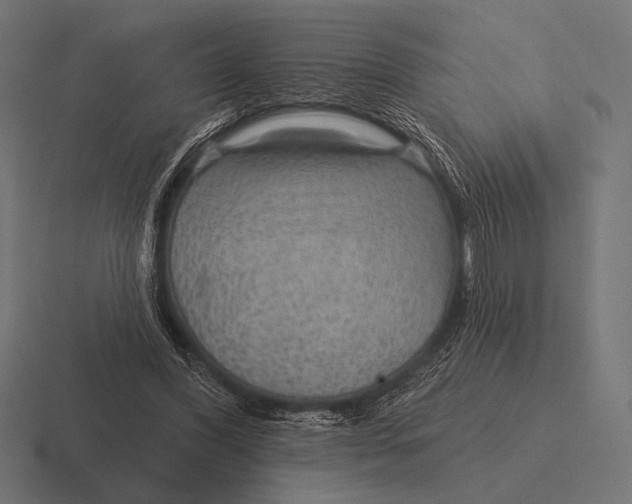 X0000116590396200912291312