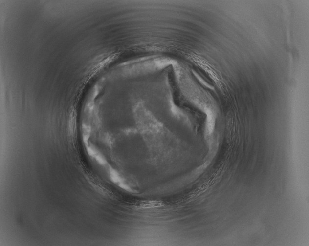 X0000116590398200912291312