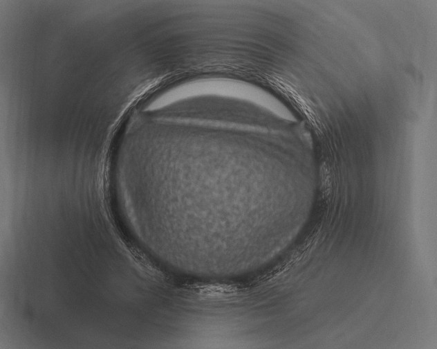 X0000116590400200912291312