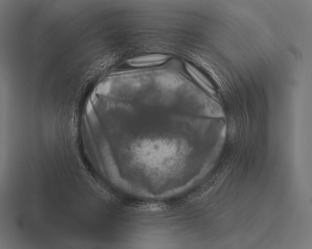 X0000116590402200912291312