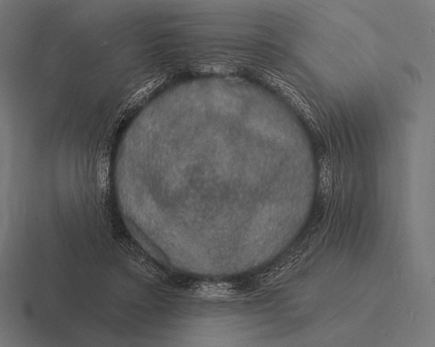 X0000116590403200912291312