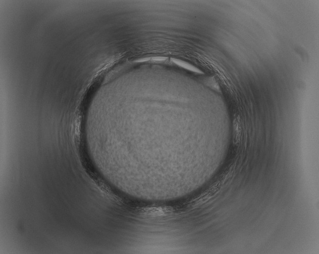 X0000116590404200912291312