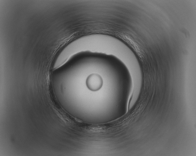 X0000116590405200912291312