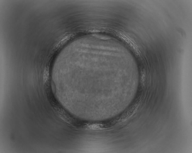 X0000116590407200912291312