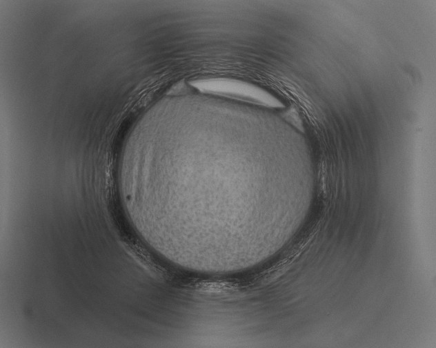 X0000116590408200912291312