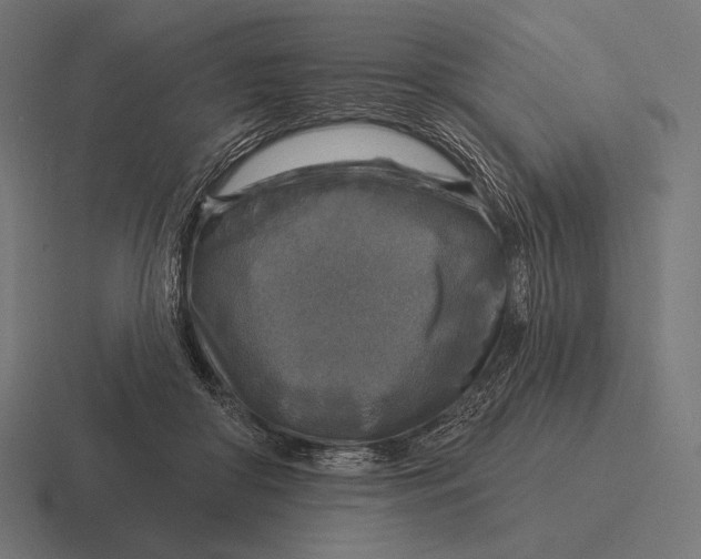 X0000116590410200912291312