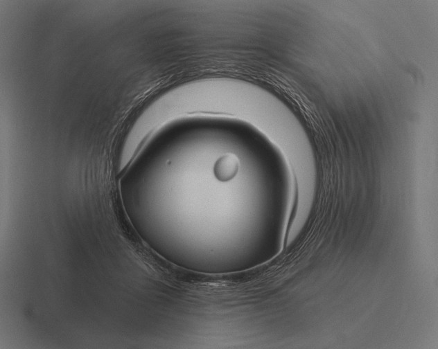 X0000116590411200912291312