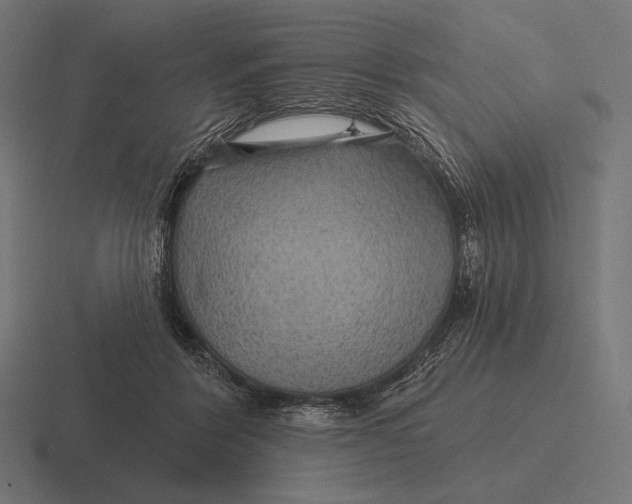 X0000116590412200912291312