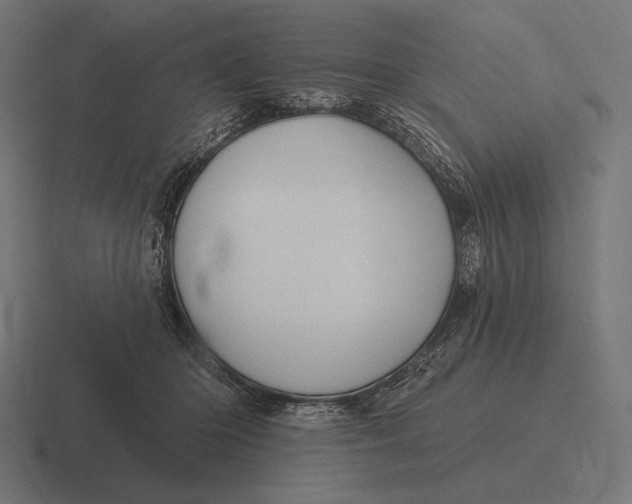 X0000116590414200912291312