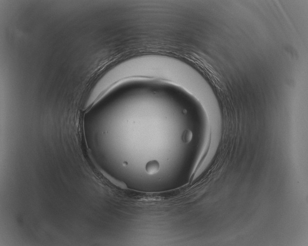 X0000116590415200912291312