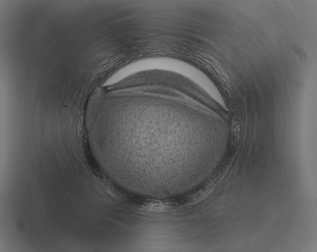 X0000116590416200912291312