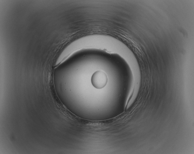 X0000116590417200912291312