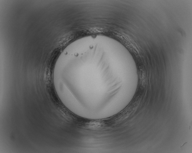 X0000116590418200912291312