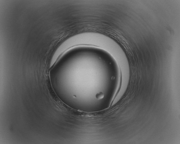 X0000116590419200912291312