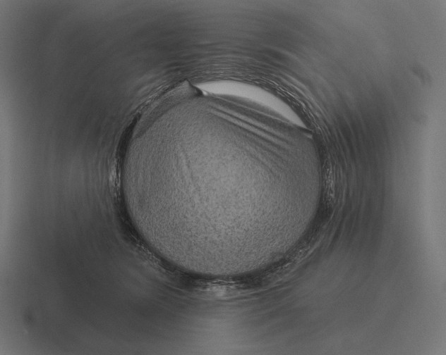 X0000116590420200912291312