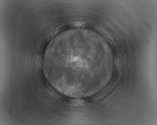 X0000116590421200912291312