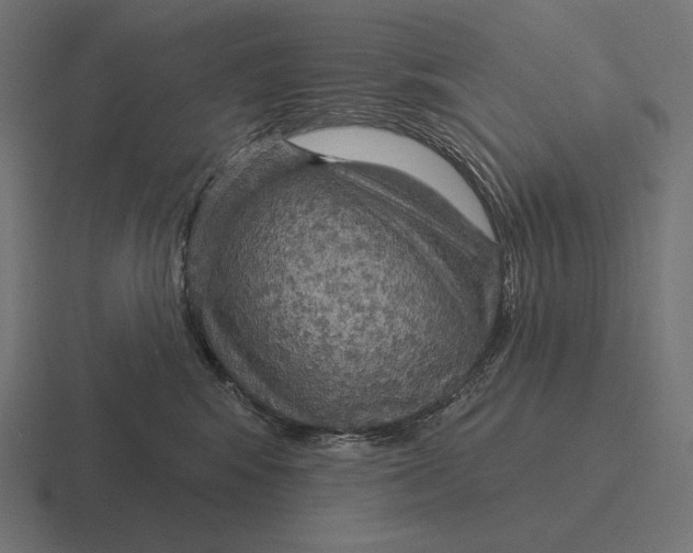 X0000116590424200912291312