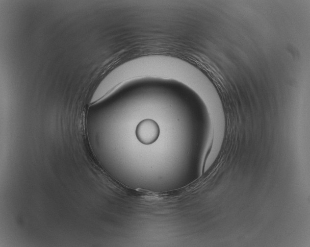 X0000116590425200912291312