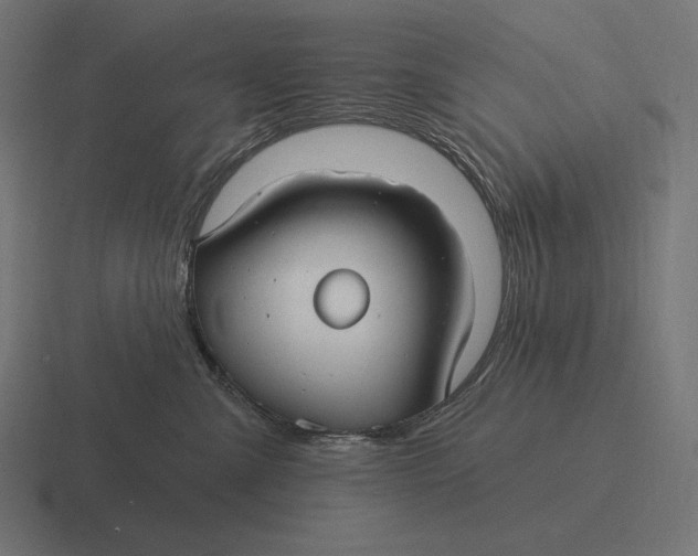 X0000116590427200912291312