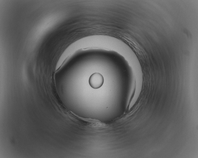 X0000116590429200912291312