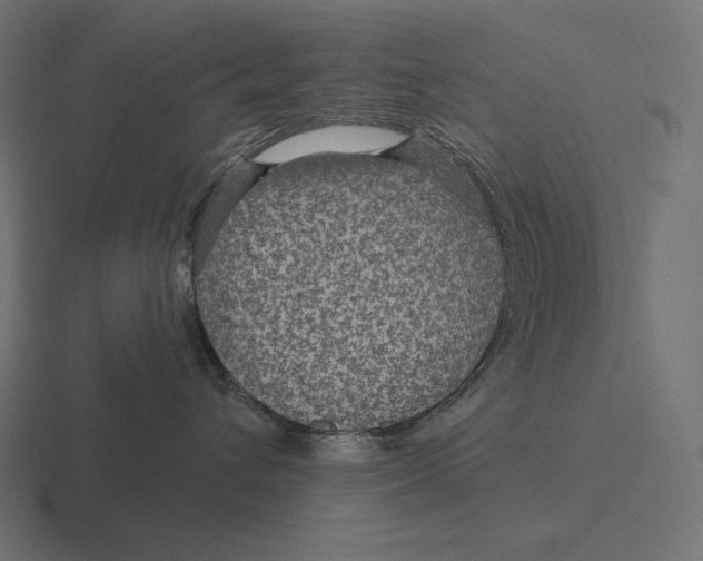 X0000116590432200912291312