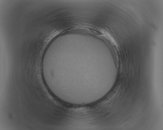 X0000116590433200912291311