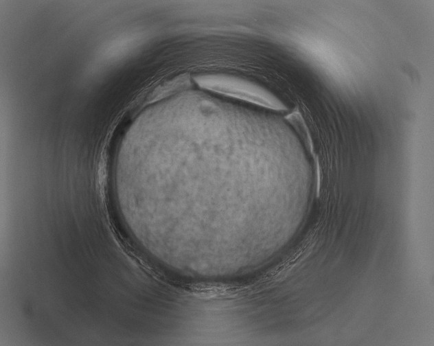 X0000116590435200912291311