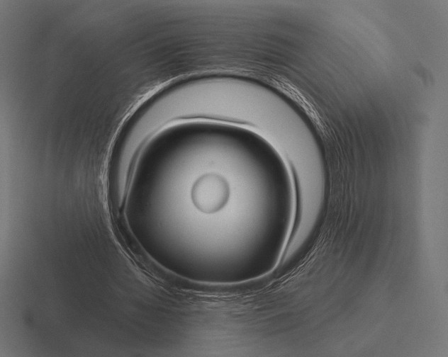 X0000116590436200912291311