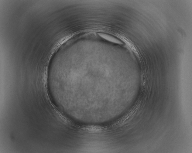 X0000116590437200912291311