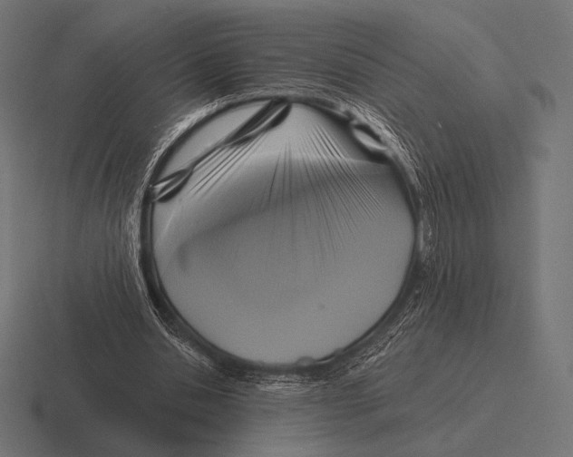 X0000116590438200912291311