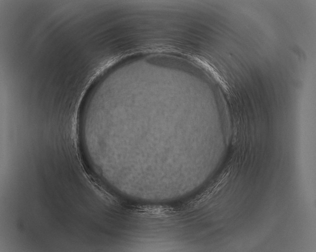 X0000116590439200912291311