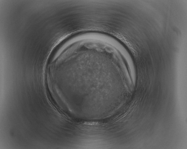 X0000116590440200912291311