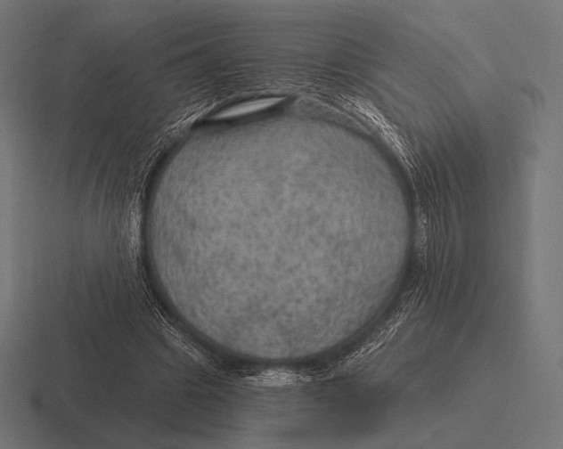 X0000116590441200912291311