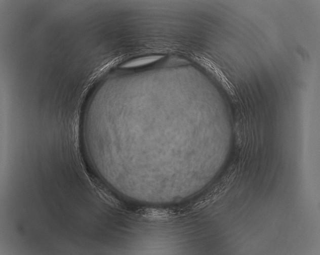 X0000116590442200912291311