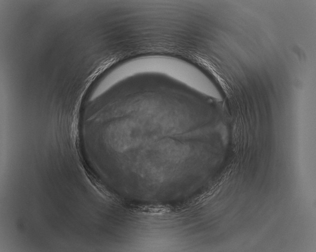 X0000116590443200912291311