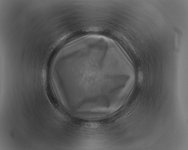 X0000116590444200912291311