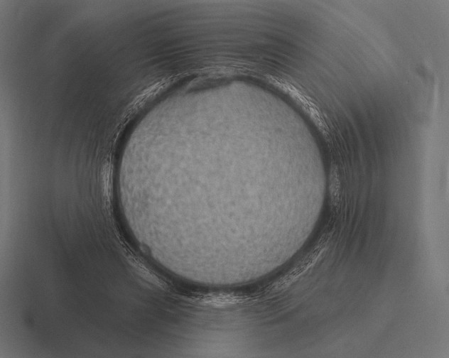 X0000116590445200912291311