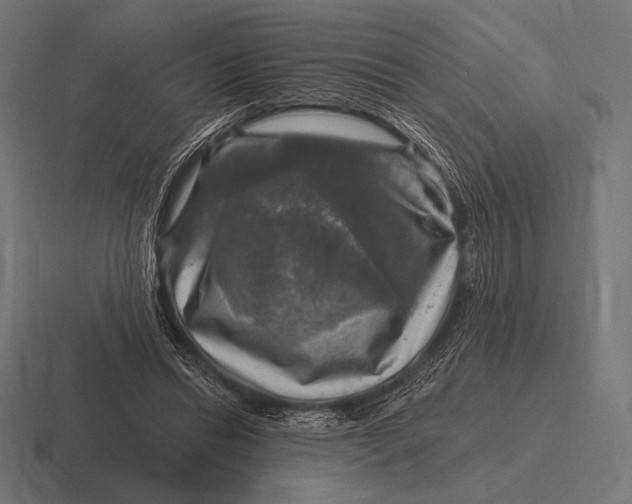 X0000116590446200912291311