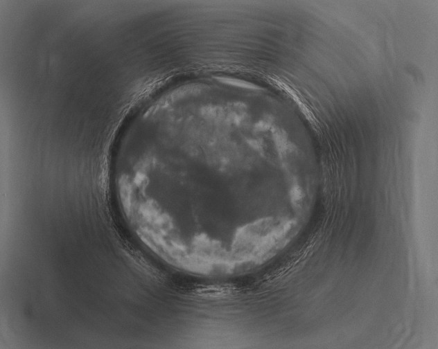 X0000116590447200912291311