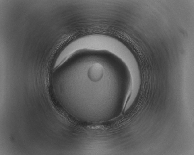 X0000116590452200912291311