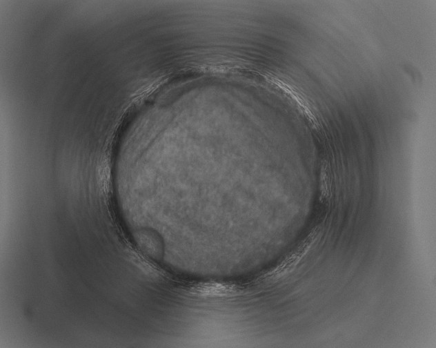 X0000116590453200912291311